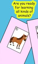 Learn animals: animal sounds ✔截图2