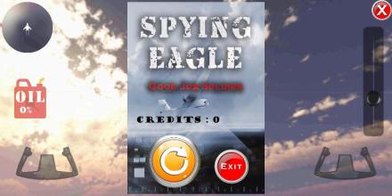 Spying Eagle截图1