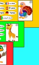 Learn animals: animal sounds ✔截图3