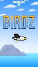 Birdz截图3