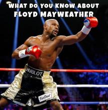 Floyd Mayweather UFC MMA Quiz截图4