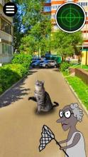 Granny GO: Catch cats截图3