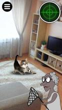 Granny GO: Catch cats截图1