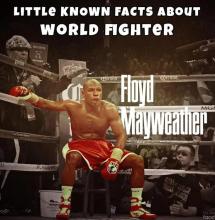 Floyd Mayweather UFC MMA Quiz截图3