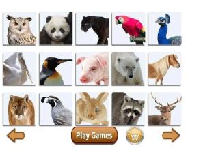 Learn Real Animals截图3