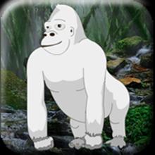 White Gorilla Escape截图2