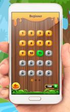 Wood Block Puzzle Classic Pro截图5