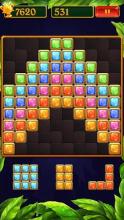 Block Puzzle Jewel King截图4