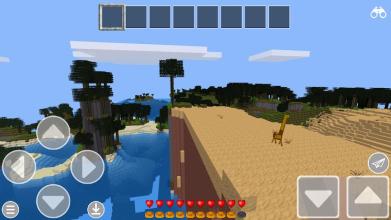 Play World Craft Survive截图1