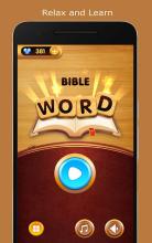 Bible Word Crosses Puzzle截图2