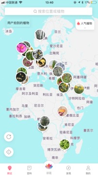 花伴侶截圖