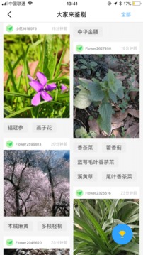 花伴侶截圖