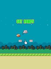 Flap Flap: The Bird Game截图3