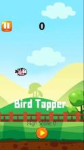 Bird Tapper截图4