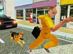 Police Dog Chase Prisoner Attack截图2