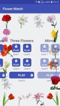 Brain game - Flower match & Game Casual截图4