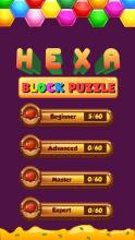 Block Jewel - Hexa Puzzle 2019截图2