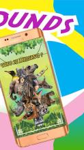 Animal Play Sounds截图1