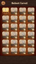 Lets roll it - Sliding Blocks Puzzle截图4