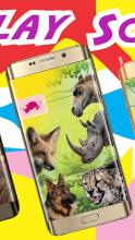 Animal Play Sounds截图2