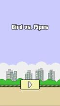 Bird and Pipe截图2