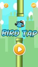 Bird Tap截图2