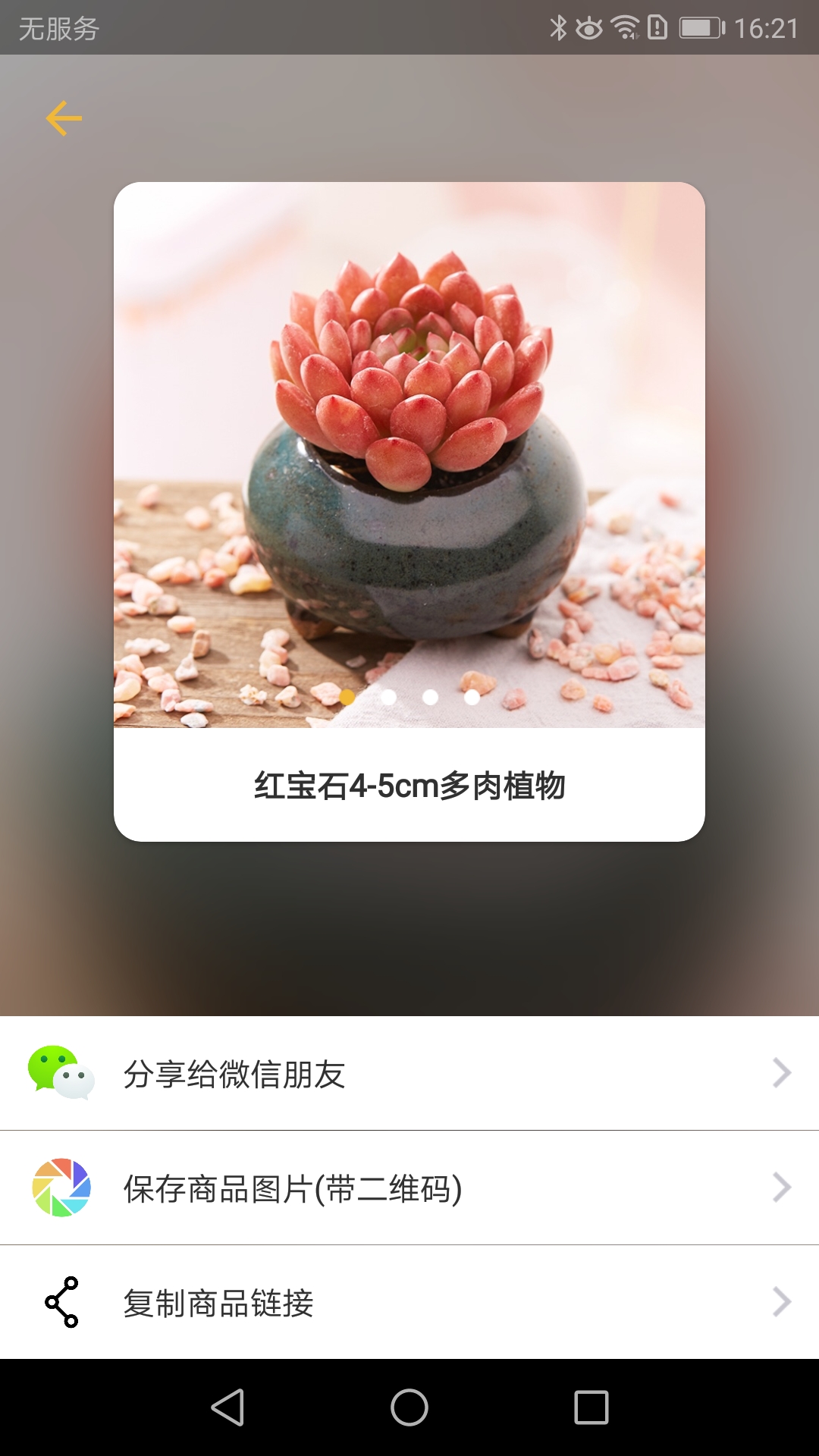 盆栽玩家截图5