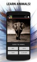Animals - Learn The Mammals and Birds截图1