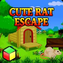 Best Escape Games - Cute Rat Escape截图2