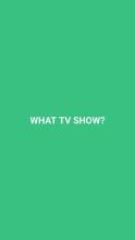 What TV Show?截图2