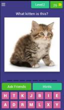 Guess Little Kitten截图2