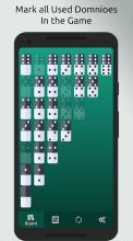 Dominos Cheater (Cards Tracker - Score Pad)截图4