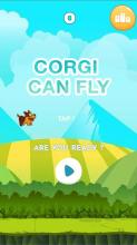 Corgi Can Fly截图2