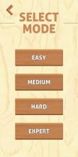 Wooden Sudoku Puzzle Block : Relax And Challenge截图2