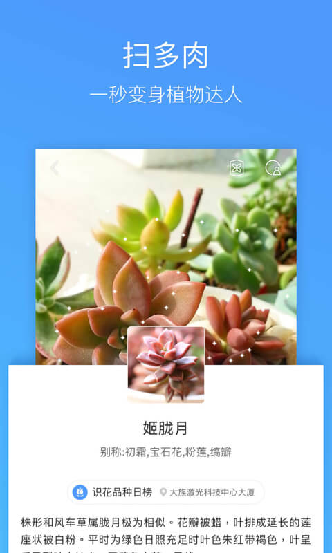 QQ浏览器v8.9.5.4610截图2