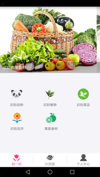 拍照識物截圖