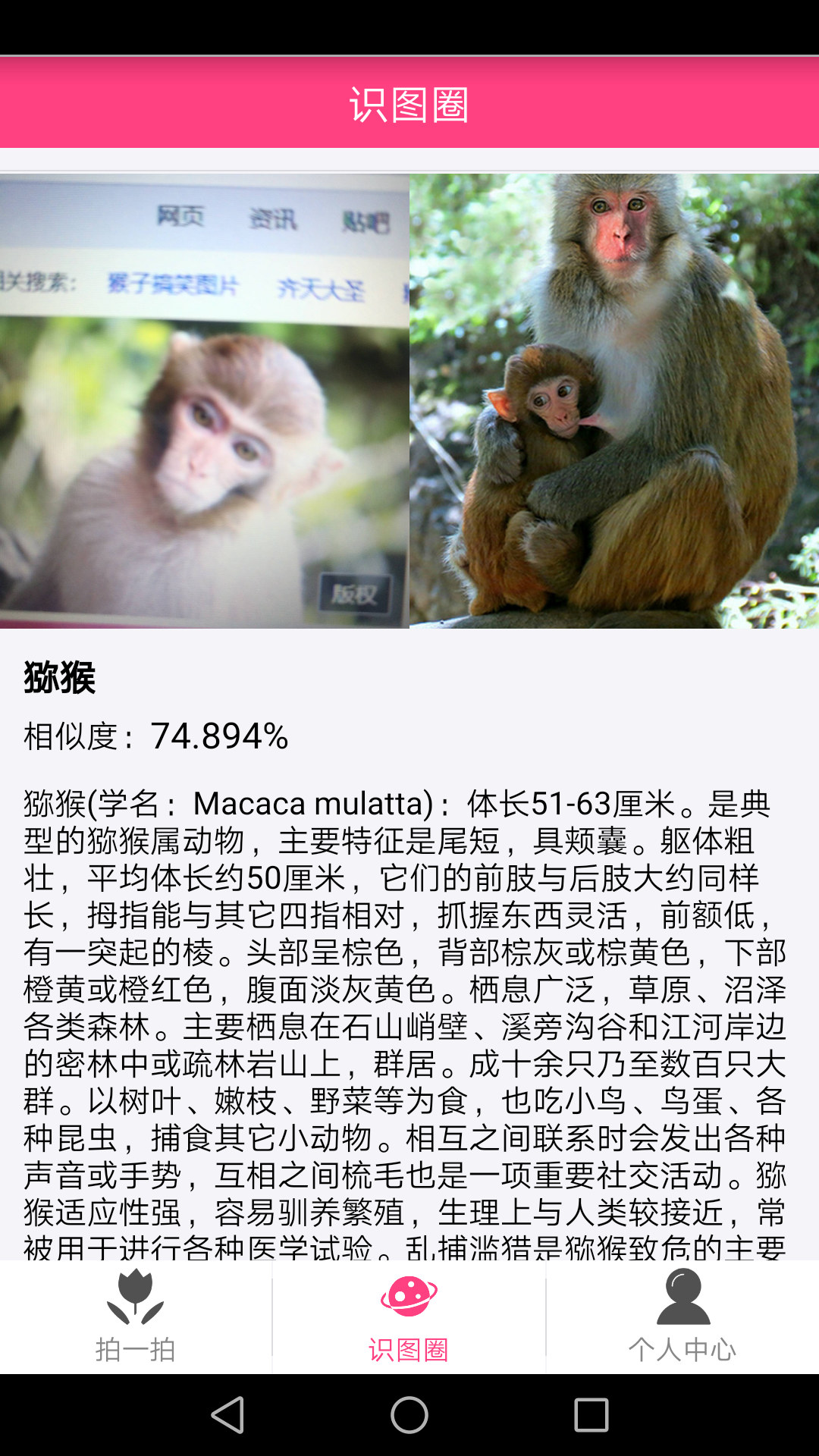 拍照識物截圖預(yù)覽