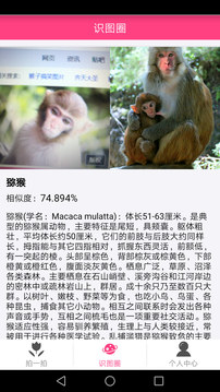 拍照識物截圖