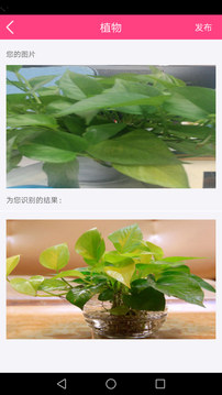 拍照識物截圖