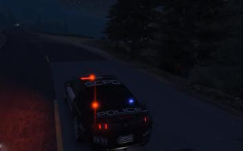 Police Car Driving Ford Offroad 2018 Simulator截图2