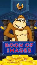 Book of images截图2