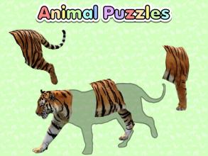 Wild Animal Preschool Games截图1