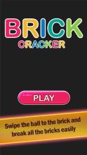 Brick Crackers截图2