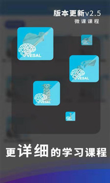 维萨里3D解剖截图
