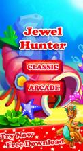 Treasure Jewel Hunter截图2