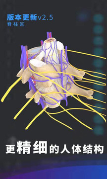 维萨里3D解剖截图
