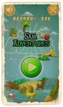 Sam Adventures截图1