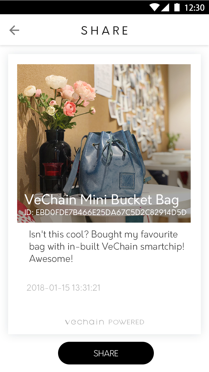 VeChain Prov2.6.0截图4