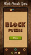 Block Puzzle Wood Game截图2