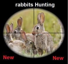 rabbits hunting .Hunter & Shooter 3D Hunting 2018截图1